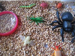 Bugs Sensory Bin