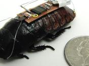 Biobot Cockroaches: Built Save Lives