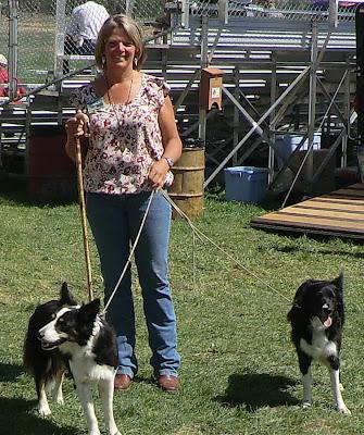 Meeker Sheepdog Trials