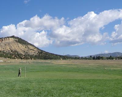 Meeker Sheepdog Trials