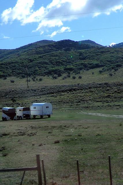 Meeker Sheepdog Trials