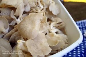 Cambridge City, Indiana: Farmer's Market