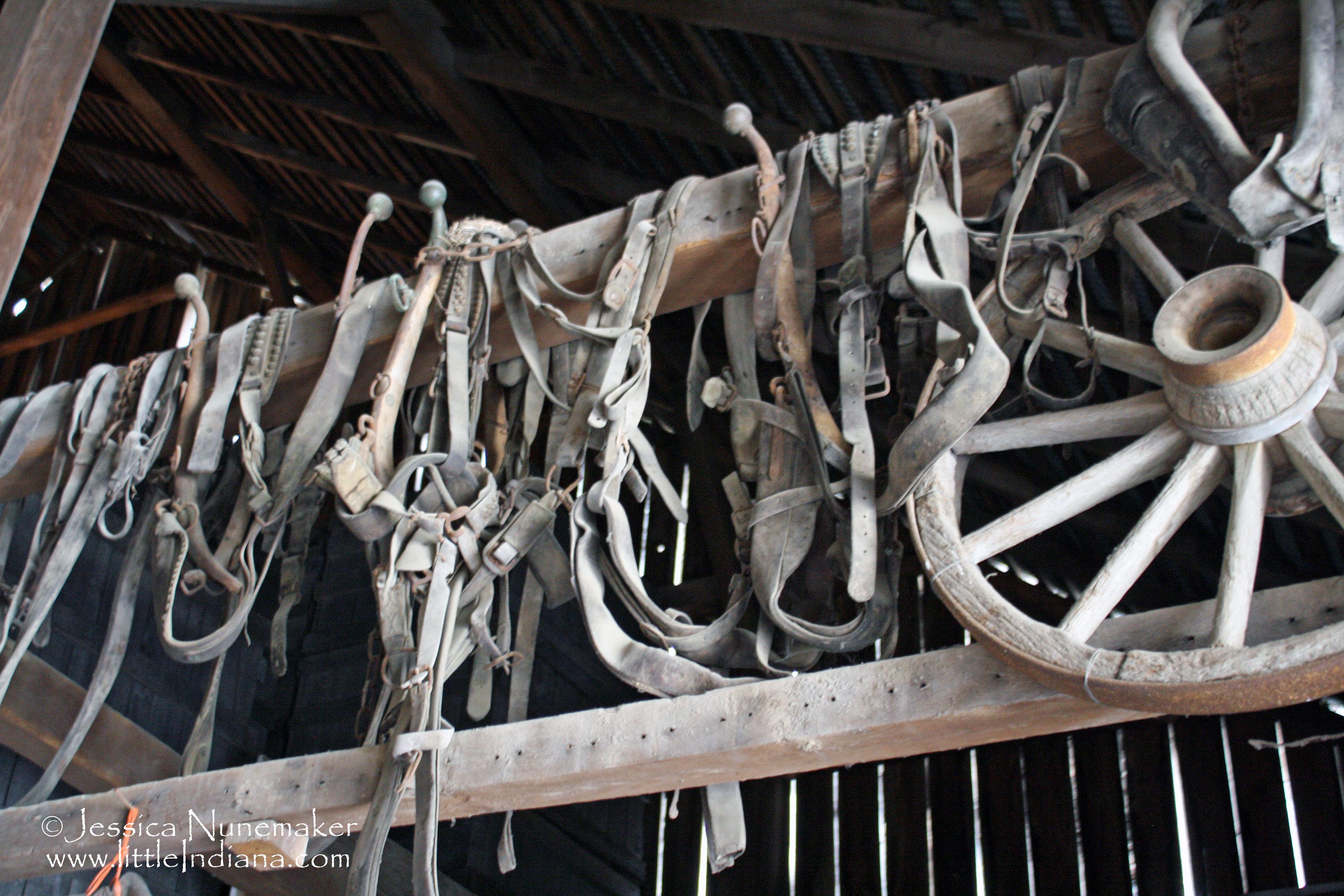 Beasley's Orchard: Danville, Indiana