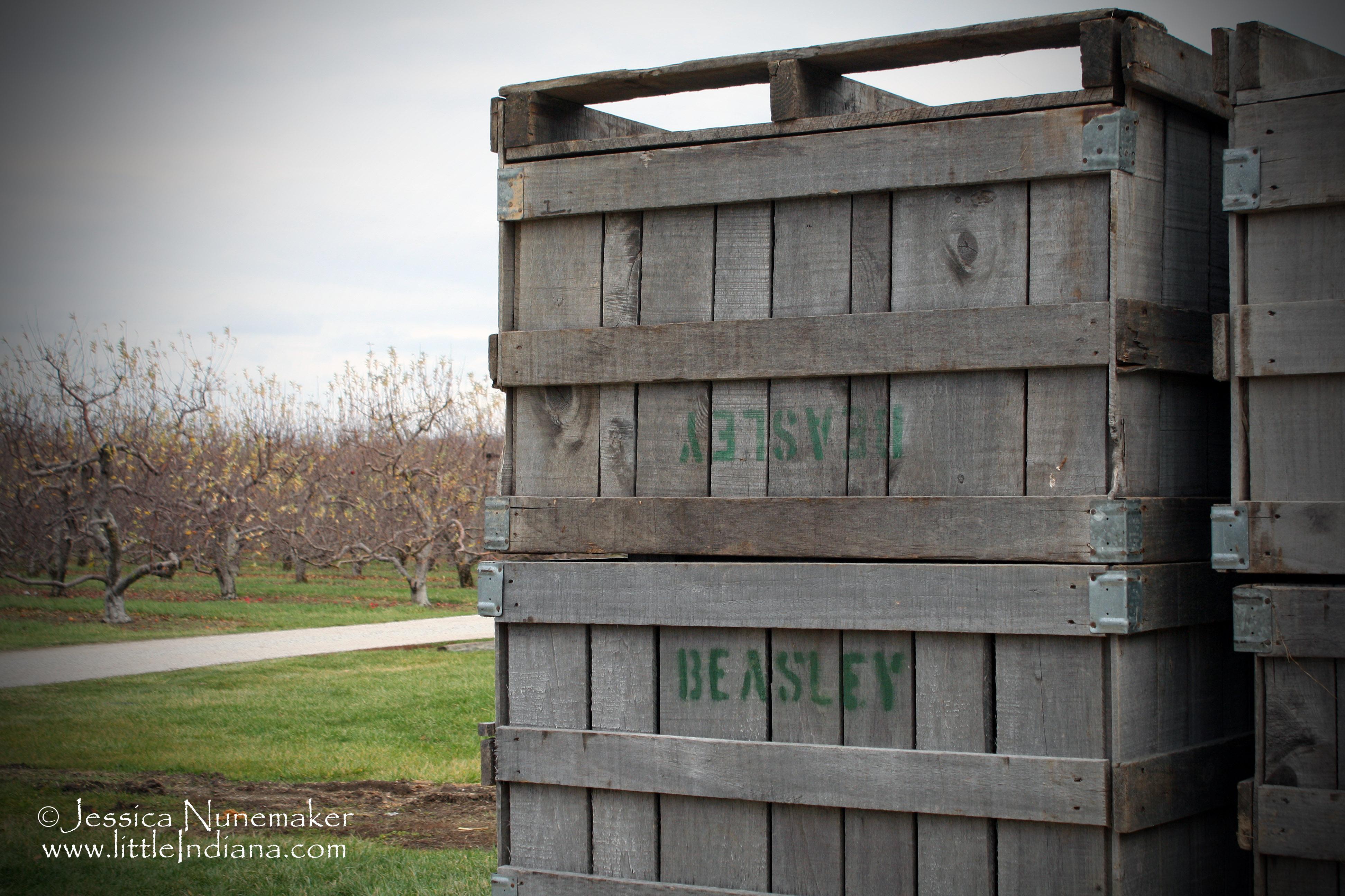 Beasley's Orchard: Danville, Indiana