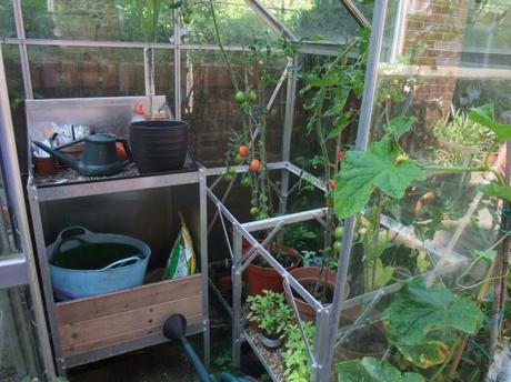 Grubby in the Greenhouse