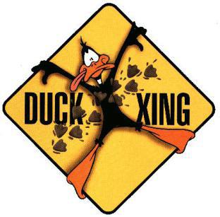 Daffy Duck Crossing!