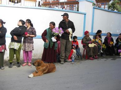 Roaming Rumi: A Himalayan Dogumentary