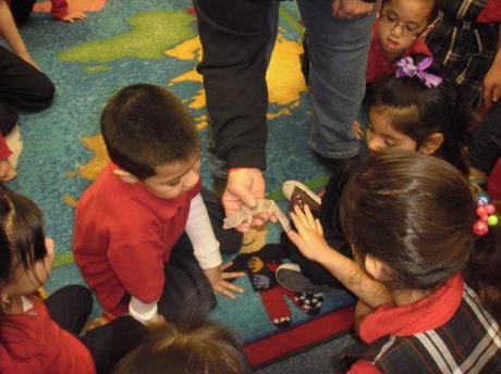 First graders explain to pre-K students at Kansas City school how to care for their pet: image via scuolavitanuovapre-k.blogspot.com