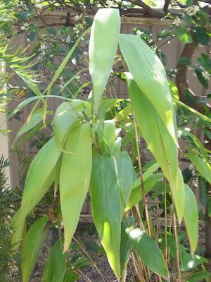 Sunday and all the rest