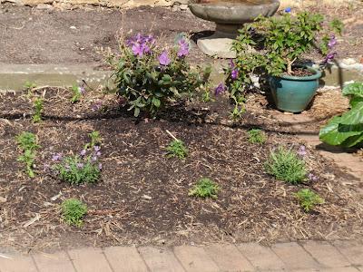 Sunday and all the rest