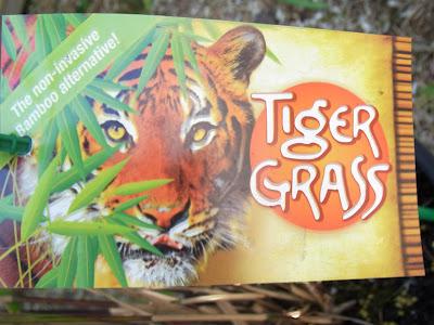 Sunday and all the rest