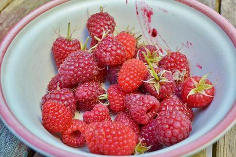 My Raspberries: Malling “Whatever” variety