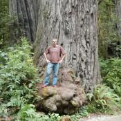 Kenin on base of Redwood