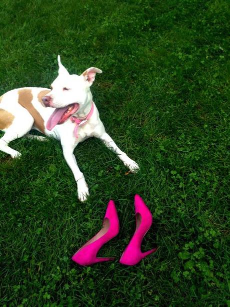 Could be a J.Crew ad, except the shoes were cheap. 