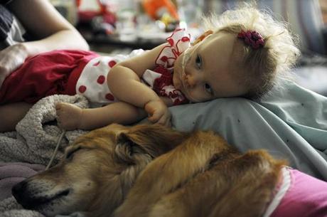 Dogs Deliver Medicine to Kids at Children’s Hospital