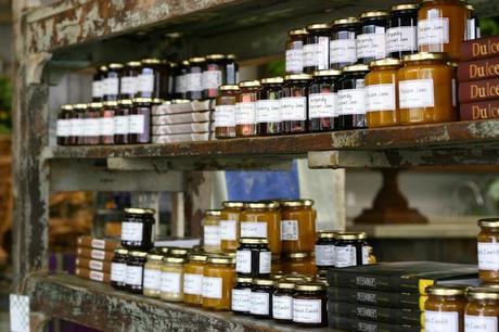 IMG_5952 weekend recap: soco shopping center