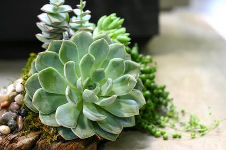 IMG_5943 weekend recap: soco shopping center