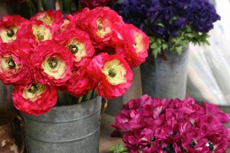 IMG_5946 weekend recap: soco shopping center