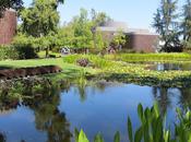 NORTON SIMON MUSEUM, Pasadena, California