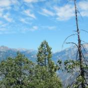Kings Canyon National Park from the top