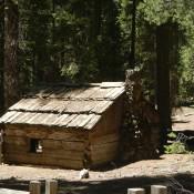 Giant Sequoia National Forest Gamlin Cabin