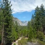 Kings Canyon National Park - View from bottom 2