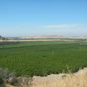 California Farm Land