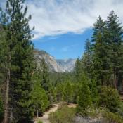 Kings Canyon National Park - View from bottom