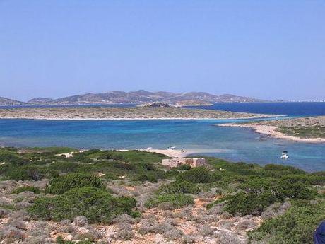 Travel trending with True Blood star Janina Gavankar