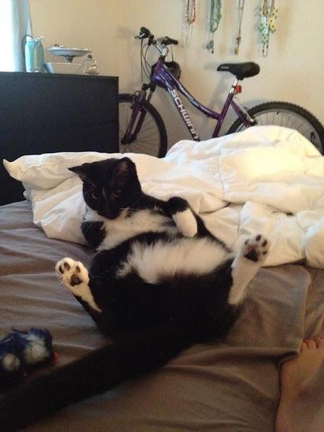 Life Lately Photo Drop