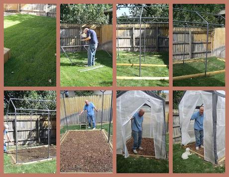 Now We Have a Greenhouse