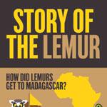 Facts About Lemurs