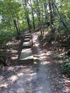 Murphy-Hanrehan Mountain Biking Trail