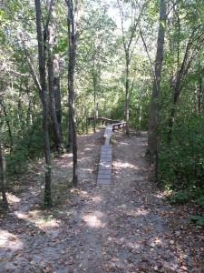 Murphy-Hanrehan Mountain Biking Trail