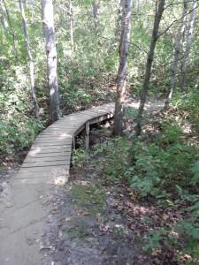 Murphy-Hanrehan Mountain Biking Trail