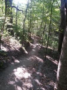 Murphy-Hanrehan Mountain Biking Trail