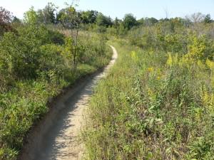 Murphy-Hanrehan Mountain Biking Trail