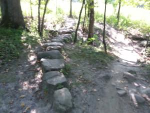 Murphy-Hanrehan Mountain Biking Trail