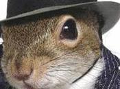 Going Nuts Squirrels Online