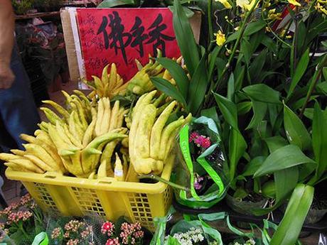 Bouquets and birds