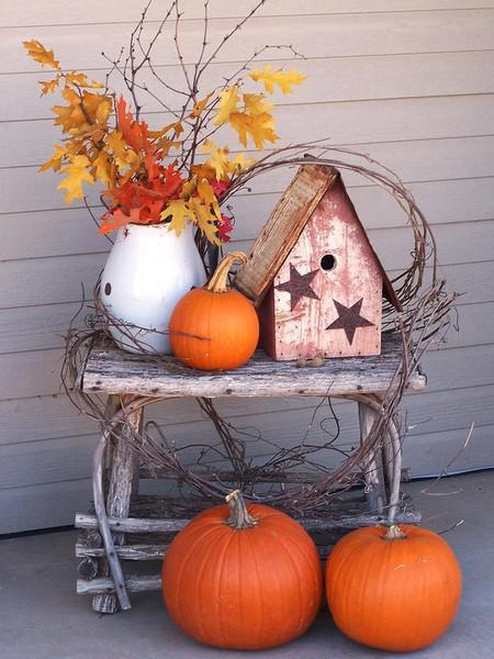 Guest Post: Fall Decor Ideas with Cassie