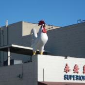 Large Cock in Chinatown