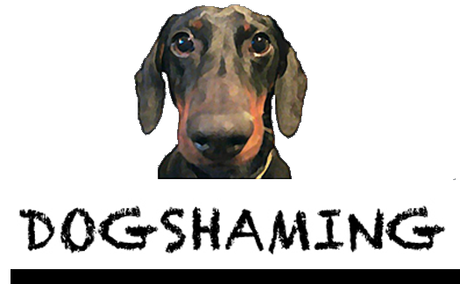 Dog-Shaming.com logo: © Dog-Shaming