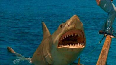 Movie of the Day – Jaws: The Revenge