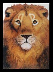 Lion's head painting