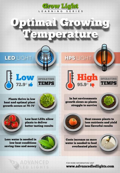 Infographic on the Best Growing Lights
