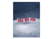 Cleef Arpels Jewelry Auction Bonham’s