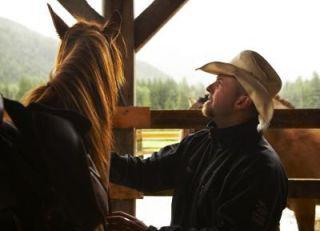 Is your horse getting adequate veterinary care?: image via e-how.com