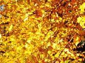 Fall Color Designing with Shades Yellow