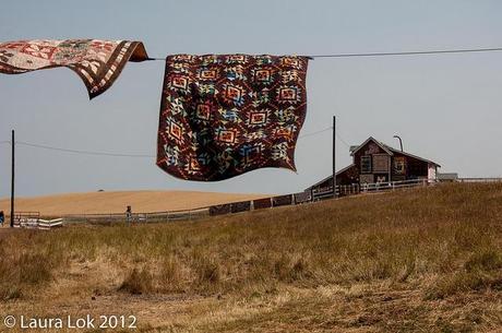 blowing in the wind buggy barn quilt show 2012